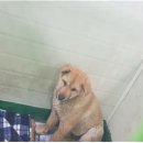 학하남로 이미지