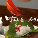 활어세상 이미지