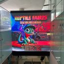 2024 파충류 박람회 렙타일페어 후기
