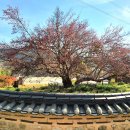 달전시목지 이미지