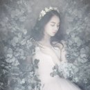 순수담다 이미지