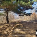 두리봉네거리 좌측 이미지