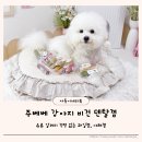 수덴탈 | 강아지 비건덴탈껌추천 주베베 동물성 단백질 부담을 덜어주는 덴탈껌