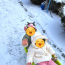 신상록어린이집 이미지