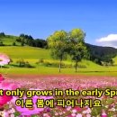 SPING 이미지