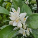 온평동로 | &lt;삶의 발명&gt; 정혜윤 / 제주풀무질 고전읽기모임 4월의 책