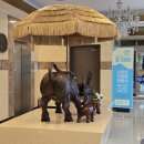 천지연크리스탈호텔 이미지