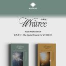 눈부셨다 : The Special Present For WHITREE 발매기념 팬사인회 (비트로드) 진행안내 이미지