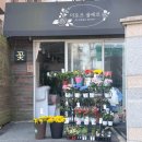 더로즈플레르