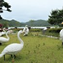 화진포 생태박물관 이미지