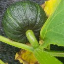 제주 토브 이미지