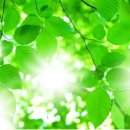 이호석한의원 이미지