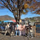 장동초등학교병설유치원 이미지