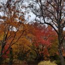 부동산중개사람 이미지