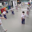 움찬태권도 이미지