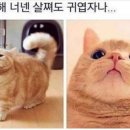 증평가