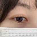 사당/ 인형속눈썹 만들어주는 이수역 속눈썹펌 꼬모래쉬 내돈내산 후기