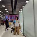 어정초교유치원 입구앞 횡단보도(어정초 쪽) | 방콕, 파타야 여행 _ 첫날. 아시아나 2층 좌석 후기, 그란데 센터 포인트 스쿰빗 55 통로 시그니처 룸 후기