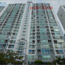 초읍동 주택인근 이미지