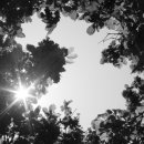 예샘궁치과의원 이미지