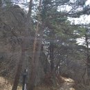 영주순흥민박 이미지