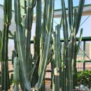 환경자원사업소 목교화장실 | 인천 - 청라생태공원(온실 &amp;생태연못)