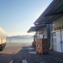 영인농협 산지유통센터 이미지