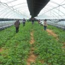 봉이네농장 이미지