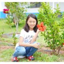 큰에덴농장 이미지