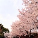 늘픔농장 이미지