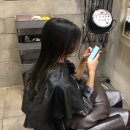 유헤어(U Hair) 이미지