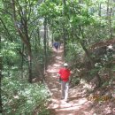 솔향기 쉼터 이미지