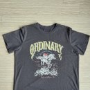 그레이핏 | [구매 후기] SYSTEM(시스템) 린넨 그레이 프린트 티셔츠 후기(디자인/사이즈/핏/재질/코디)