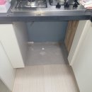 세영리첼레이크파크 티스토리