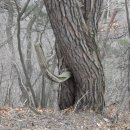 서천초등학교 이미지