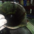 대성 카 이미지