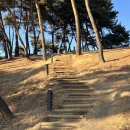 대성동고분군(공원등1) | 고령 지산동고분군 산책 세계유산 가야고분군