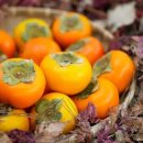 상서농장 이미지