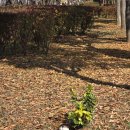 GS25대공원리프트점 | 서울랜드 스카이리프트 주말 루나패스 필수 불꽃놀이 시간