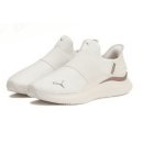 골드소프트 이미지