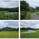 신죽