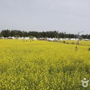 맹방관광지 이미지