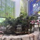 정임도서관 | 여수 해양수산과학관 주차/관람요금/후기 총정리/아이랑 바닷가뷰 즐기기 좋은 여수 실내관광지