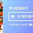 이디오피아보트장