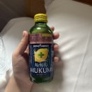 세븐일레븐 안성서운교차로점 | 도쿄에 도착을 했습니다~!!~!~!