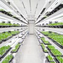 상장농장 이미지