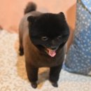 구르미살롱 이미지