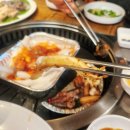 산꼼장어 이미지