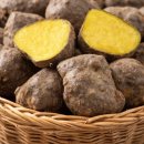 하늘농약사 이미지