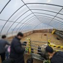 발산흑염소농장 네이버블로그